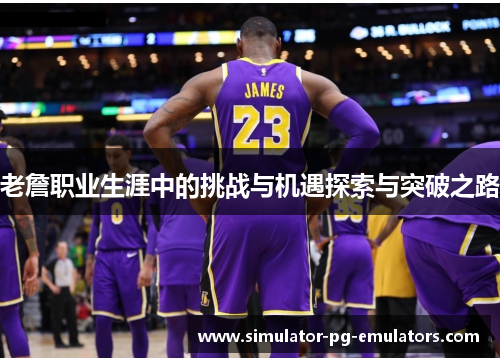 老詹职业生涯中的挑战与机遇探索与突破之路