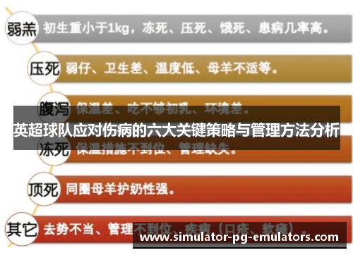 英超球队应对伤病的六大关键策略与管理方法分析