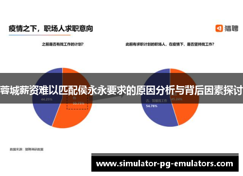 蓉城薪资难以匹配侯永永要求的原因分析与背后因素探讨