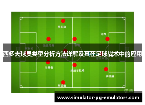 西多夫球员类型分析方法详解及其在足球战术中的应用