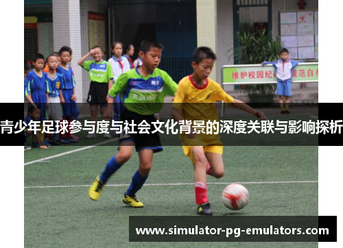 青少年足球参与度与社会文化背景的深度关联与影响探析