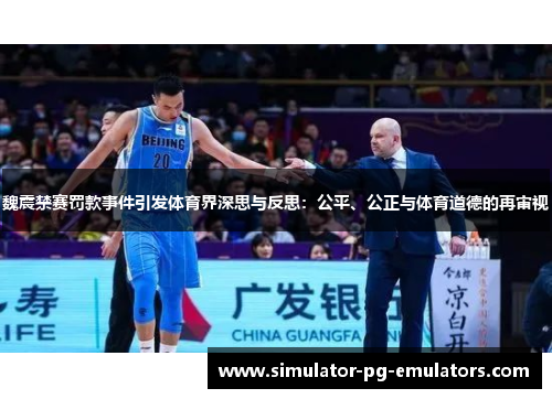 魏震禁赛罚款事件引发体育界深思与反思：公平、公正与体育道德的再审视