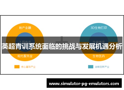 英超青训系统面临的挑战与发展机遇分析