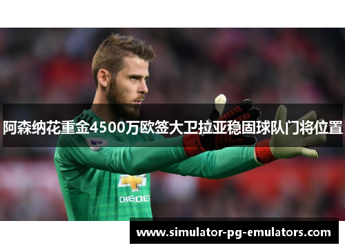 阿森纳花重金4500万欧签大卫拉亚稳固球队门将位置